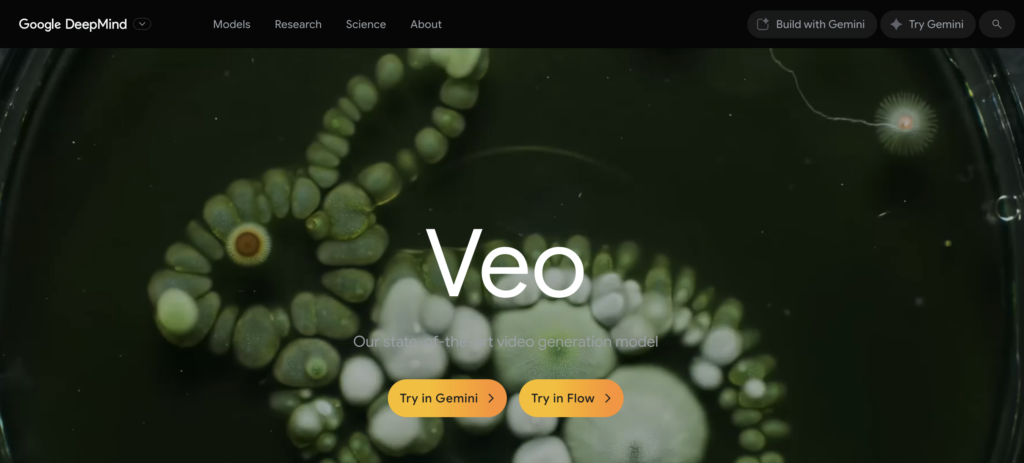 google veo logo
